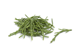 Sea Bean - Salicornia