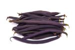 Purple Wax Bean