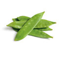 Snow Pea