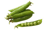 English Pea