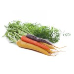 Bunched Mix Carrots
